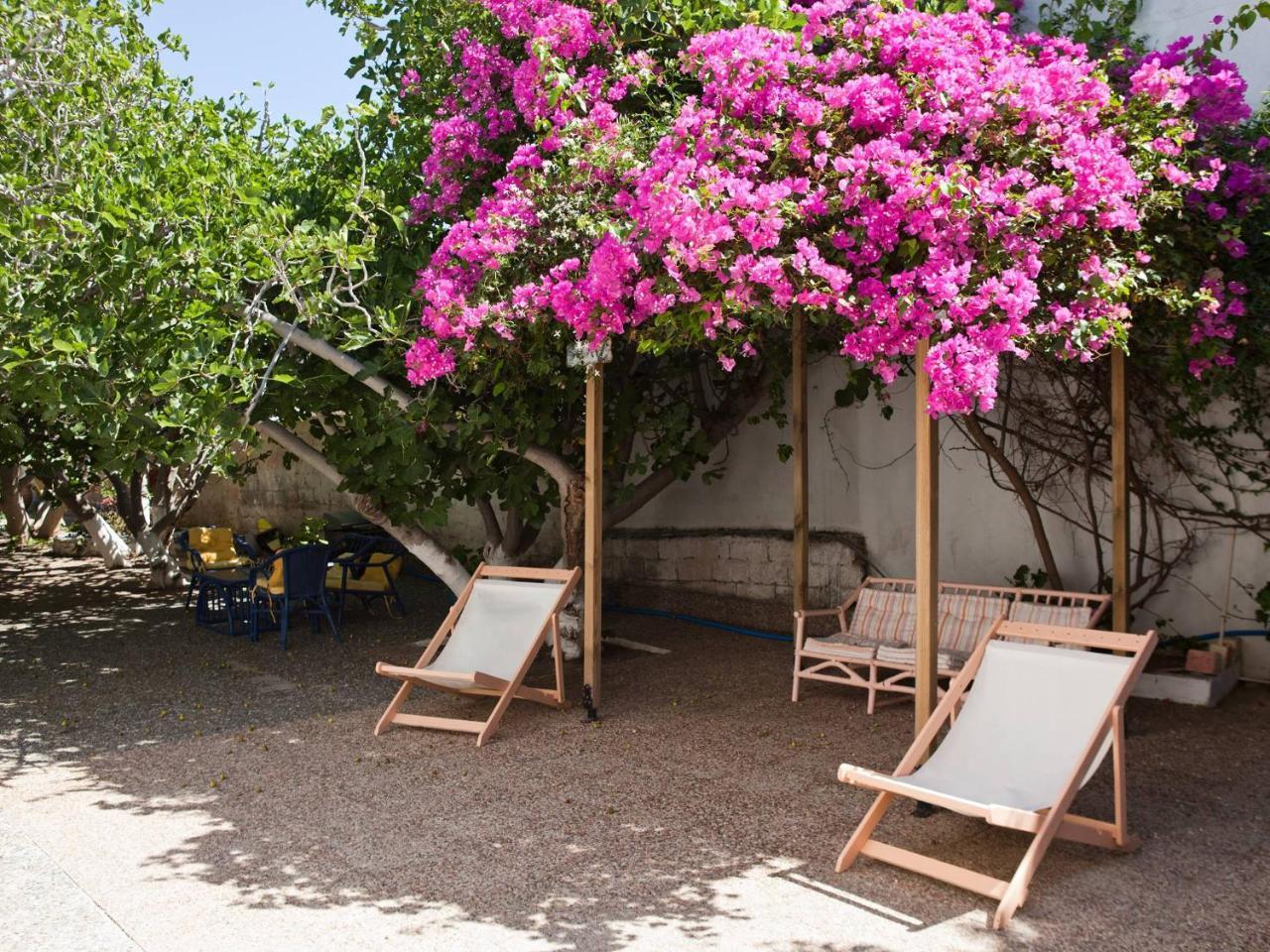 Albatross Hotel Livadi  Ngoại thất bức ảnh